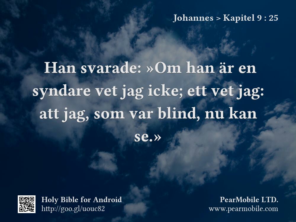 Johannes, Kapitel 9:25